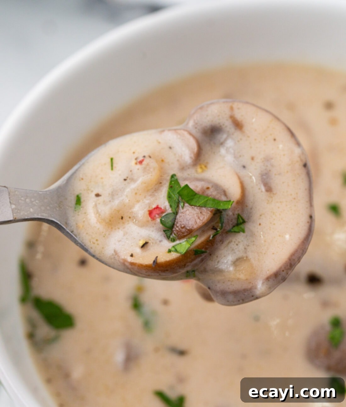 Rich Velvety Mushroom Soup 10 spoon of Cream of Mushroom Soup
