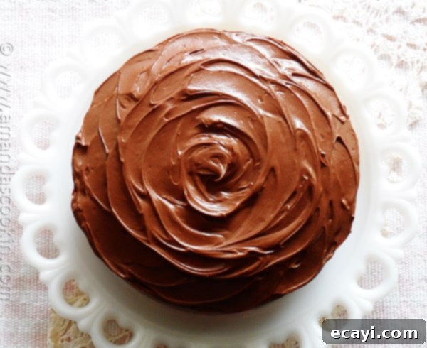 The Comfort of a Classic Cake: Honoring Family Close-up of a classic yellow cake with chocolate frosting, highlighting the texture and rich color.