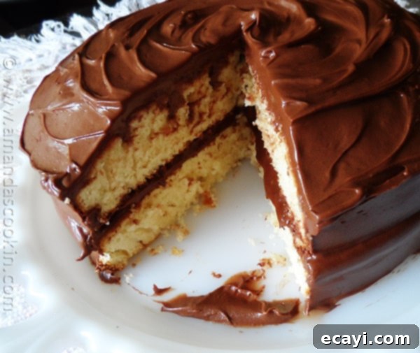 Enjoying a Slice of Memory: Classic Yellow Cake A large slice removed from a classic yellow cake with chocolate frosting, inviting enjoyment and reflection.