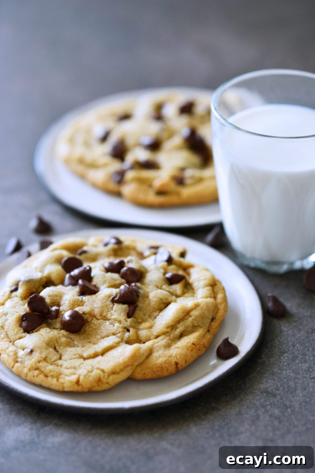 Sweet Duet: Chocolate Chip Cookies 2 two chocolate chip cookies with milk