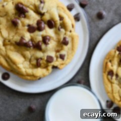 Sweet Duet: Chocolate Chip Cookies 10 Chocolate Chip Cookies for Two