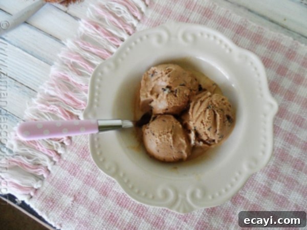 Mocha Chocolate Chip Ice Cream with Stracciatella An overhead photo of three scoops of mocha chocolate chip ice cream in a white bowl with a spoon, highlighting its creamy texture and chocolate flecks.
