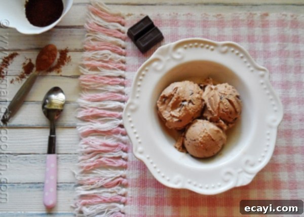 Creamy Mocha Chocolate Chip Ice Cream An overhead photo of three scoops of mocha chocolate chip ice cream in a white bowl with a spoon, showing the inviting swirls of coffee and chocolate.