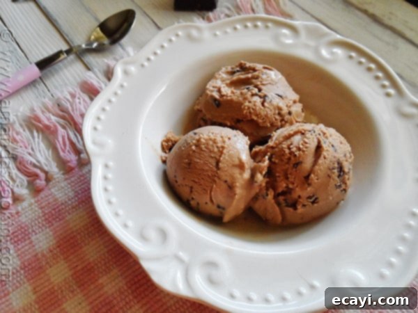 Mocha Chocolate Chip Ice Cream Close-Up An overhead photo of three scoops of mocha chocolate chip ice cream in a white bowl, highlighting the rich color and abundance of chocolate shards.