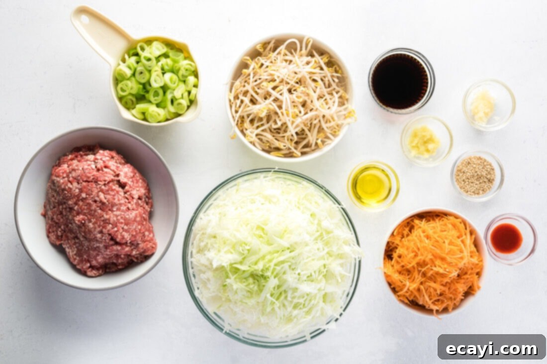 Egg Roll Stir-Fry Bowl 4 Array of fresh ingredients including ground beef, cabbage, carrots, soy sauce, ginger, and garlic