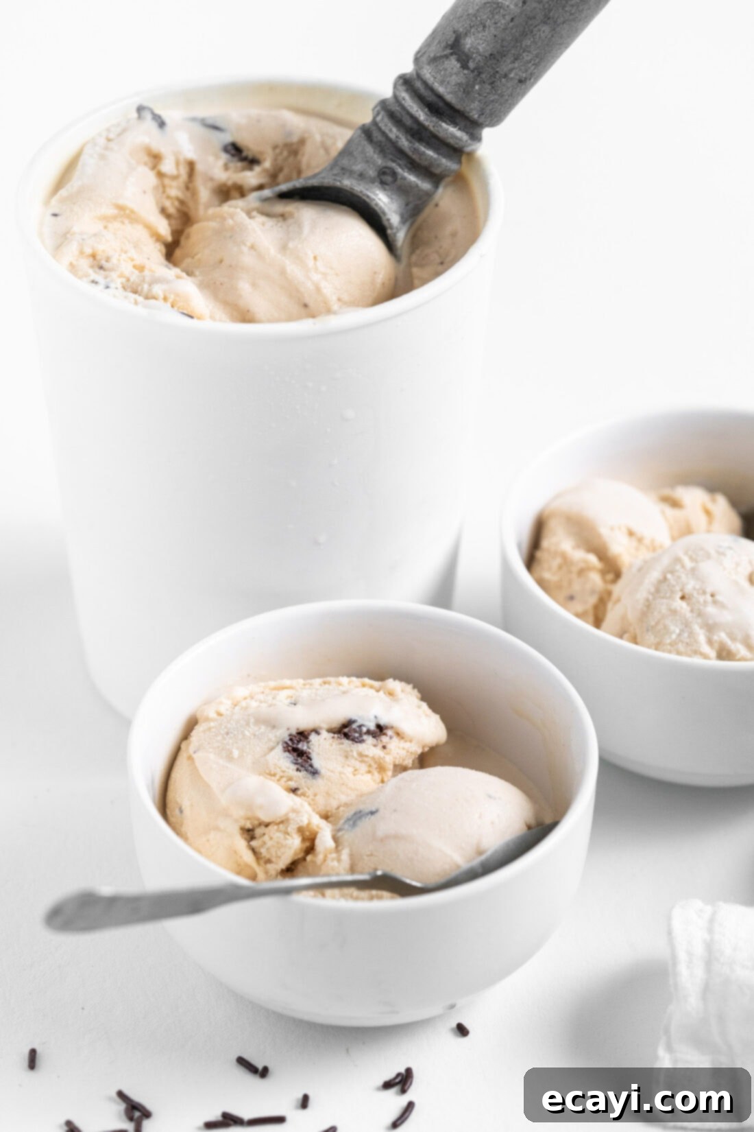 Peanut Butter Chocolate Chip Dream 2 Bowl of homemade Peanut Butter Chocolate Chip Ice Cream, rich and creamy with visible chocolate shards