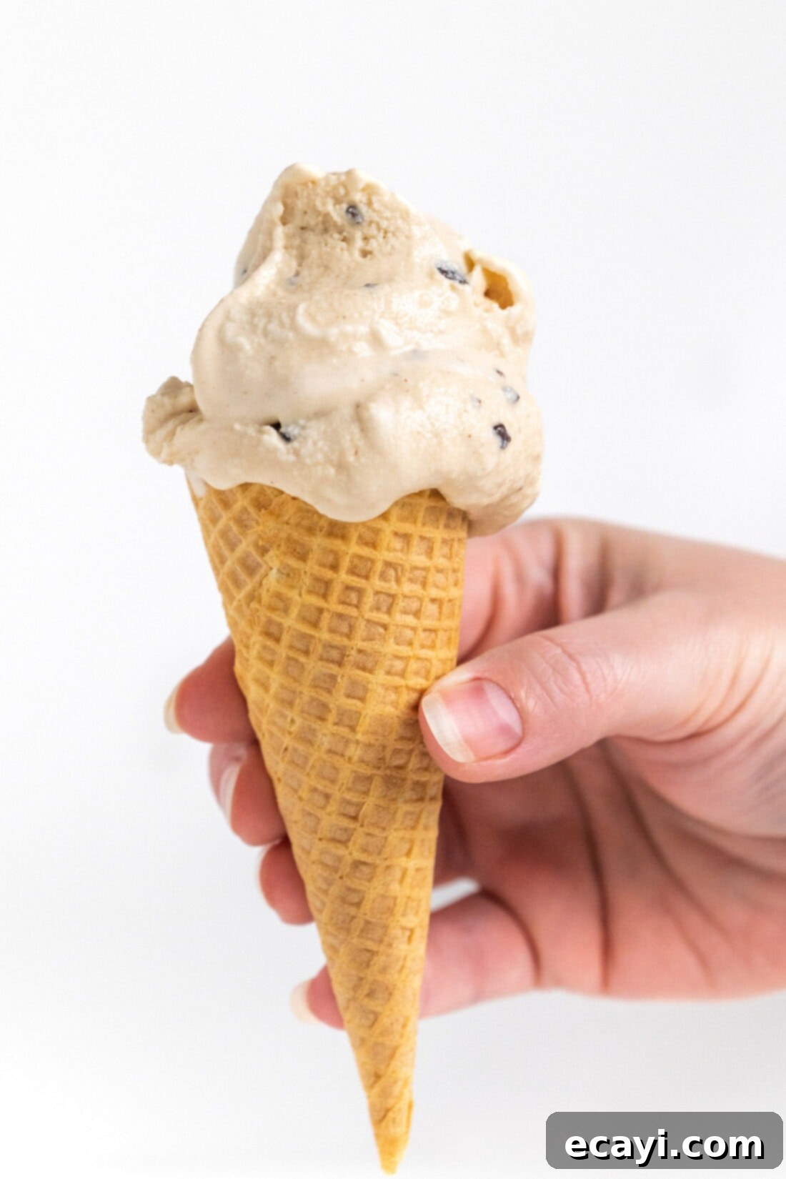 Peanut Butter Chocolate Chip Dream 9 Peanut Butter Chocolate Chip Ice Cream served in a cone
