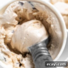 Peanut Butter Chocolate Chip Dream 10 Peanut Butter Chocolate Chip Ice Cream