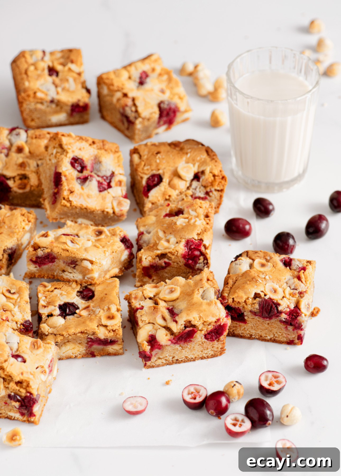 Cranberry Jewel Blondies with White Chocolate & Hazelnut 2 White Chocolate, Hazelnut, and Fresh Cranberry Blondies // FoodNouveau.com