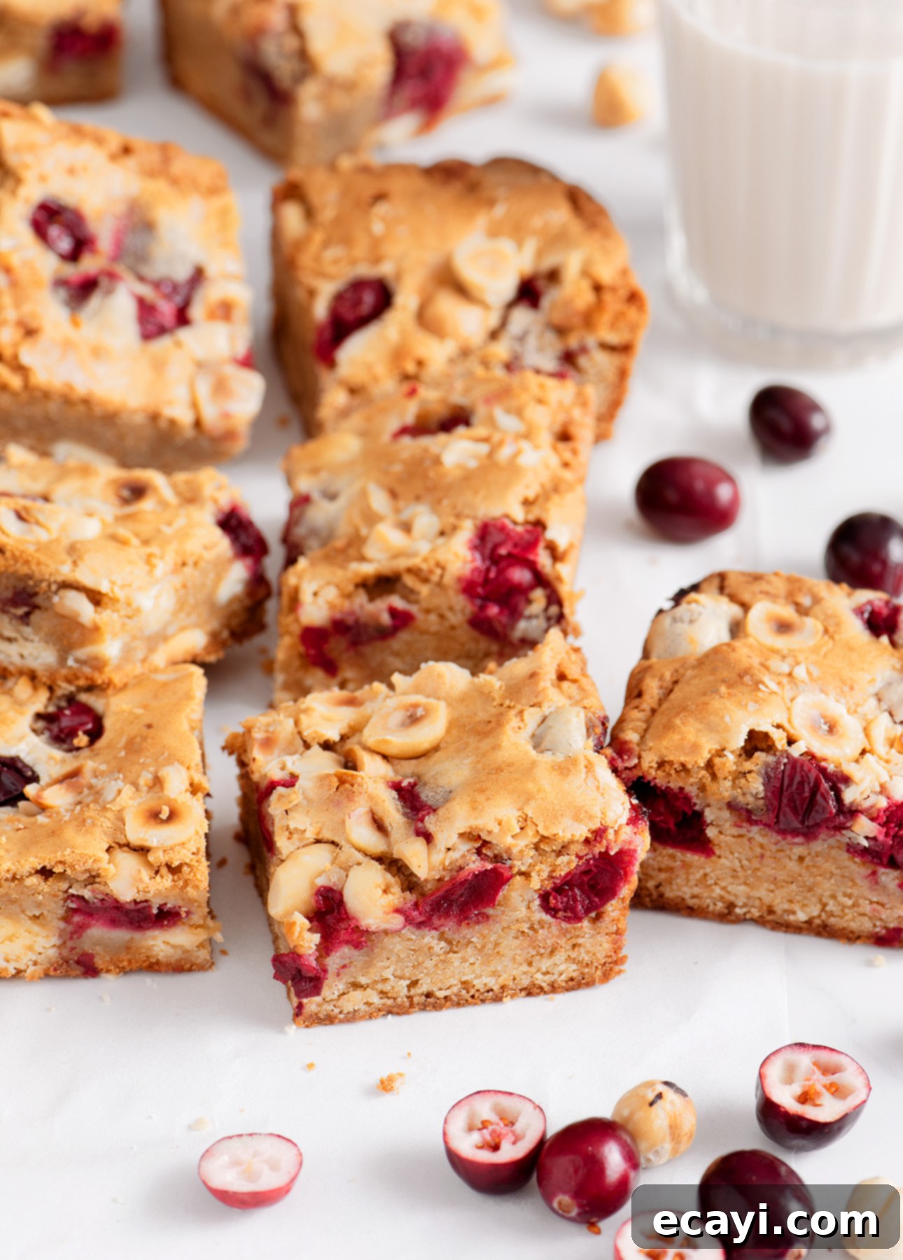 Cranberry Jewel Blondies with White Chocolate & Hazelnut 5 White Chocolate, Hazelnut, and Fresh Cranberry Blondies // FoodNouveau.com