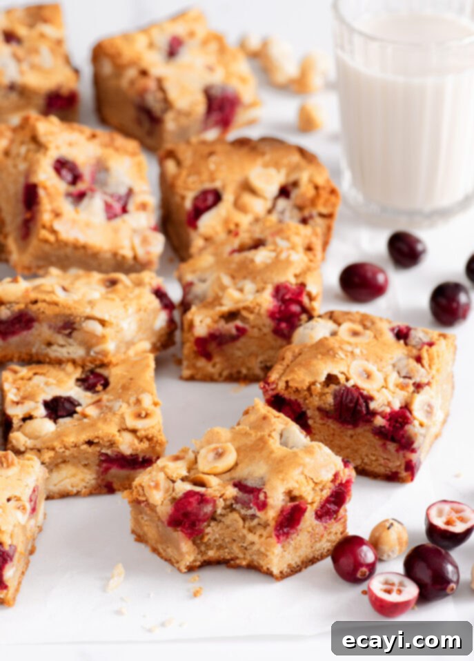 Cranberry Jewel Blondies with White Chocolate & Hazelnut 7 White Chocolate, Hazelnut, and Fresh Cranberry Blondies // FoodNouveau.com