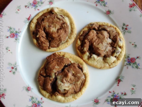 Double Stack Chocolate Chip Cookies A photo of three half and half chocolate chip cookies resting on a plate, highlighting their soft and chewy texture.