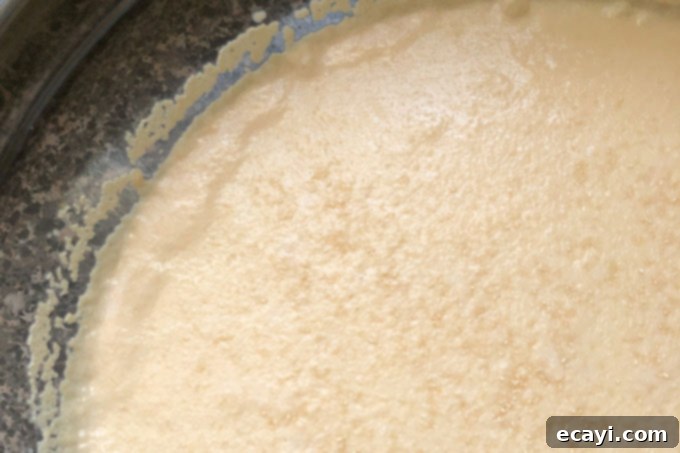 The Everyday Hearth Bread 5 foaming yeast in a bowl