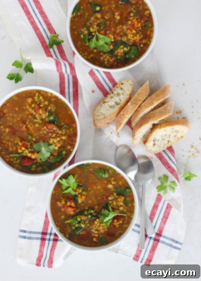 Nourishing Aromatic Lentil Tomato Soup 2 Wholesome Spiced Lentil Tomato Soup // FoodNouveau.com