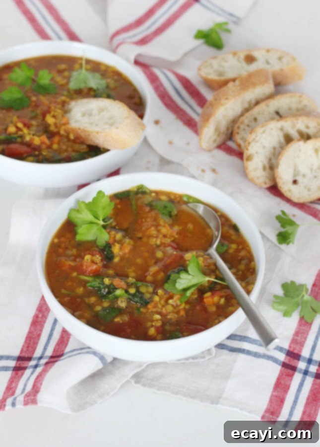 Nourishing Aromatic Lentil Tomato Soup 3 Wholesome Spiced Lentil Tomato Soup // FoodNouveau.com