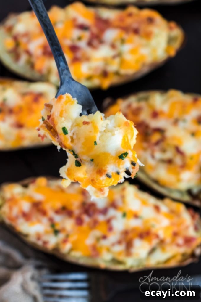 Cheesy Bacon & Chive Twice Baked Potatoes A fork holding a creamy bite of twice baked potato, showing the melted cheese, crispy bacon, and green chives.