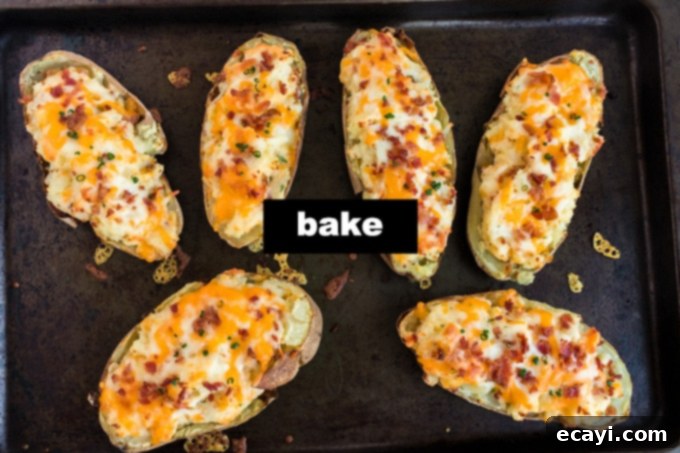 Stuffed Potato Delights 4 Six filled twice baked potatoes, topped with cheese and bacon, arranged on a metal cookie sheet before baking.
