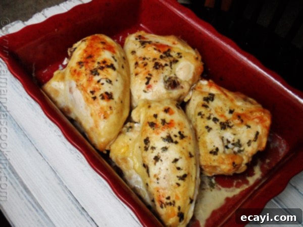Serveable Golden Roasted Chicken Breasts A beautiful wide shot of golden roasted chicken breasts, ready to be served directly from a red roasting pan.