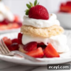 Garden Fresh Strawberry Shortcake 20 Strawberry Shortcakes