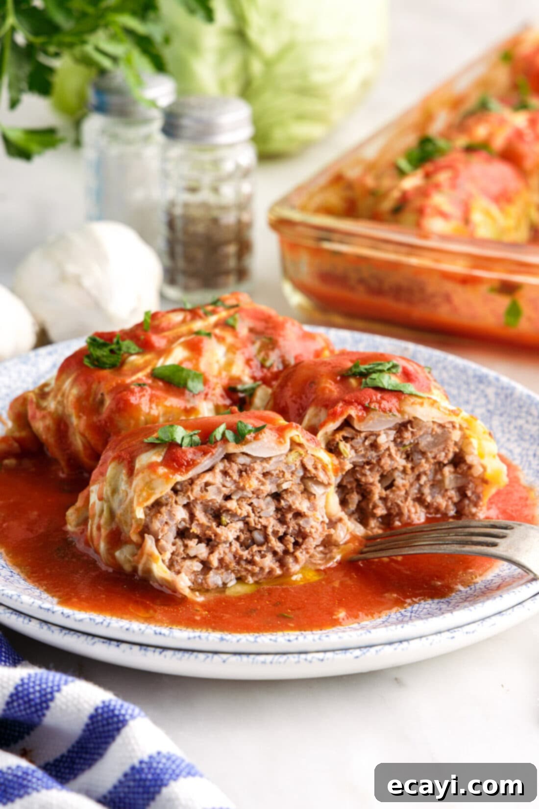 Stuffed Cabbage Delights 15 plate of sliced Cabbage Rolls