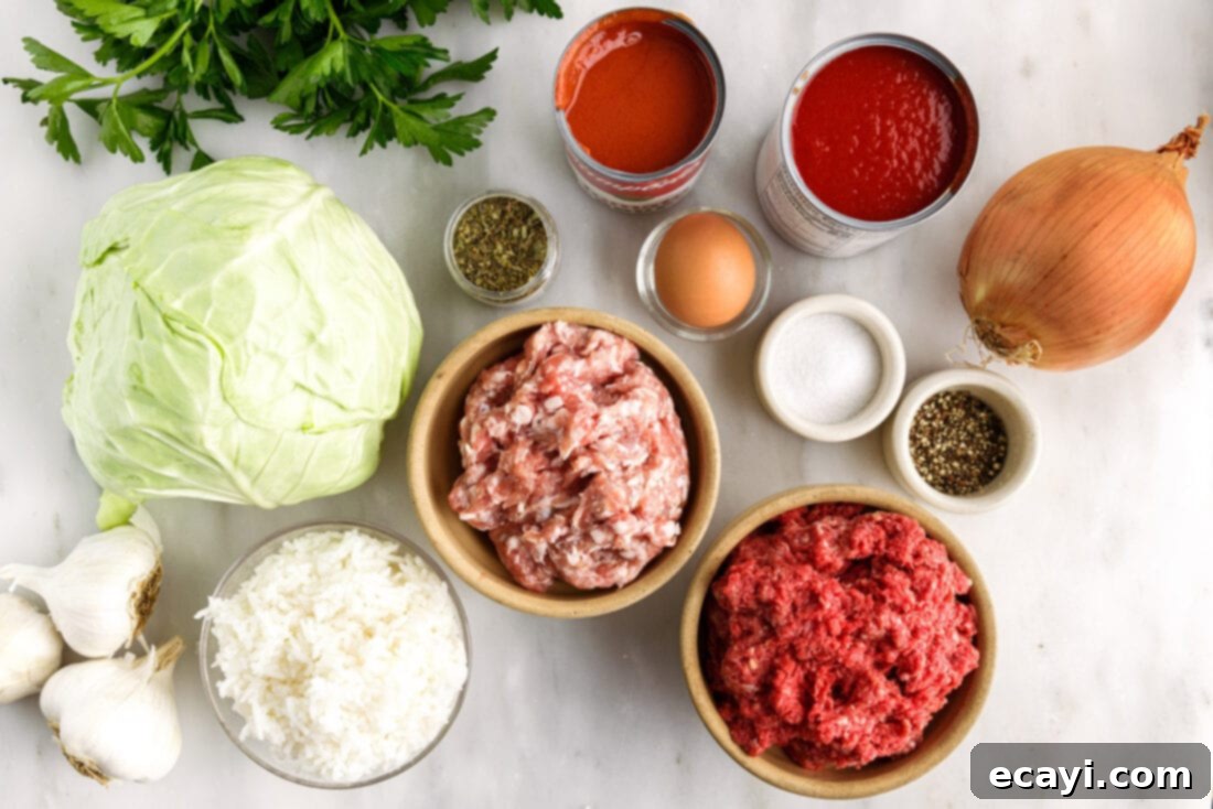 Stuffed Cabbage Delights 4 Cabbage Rolls ingredients