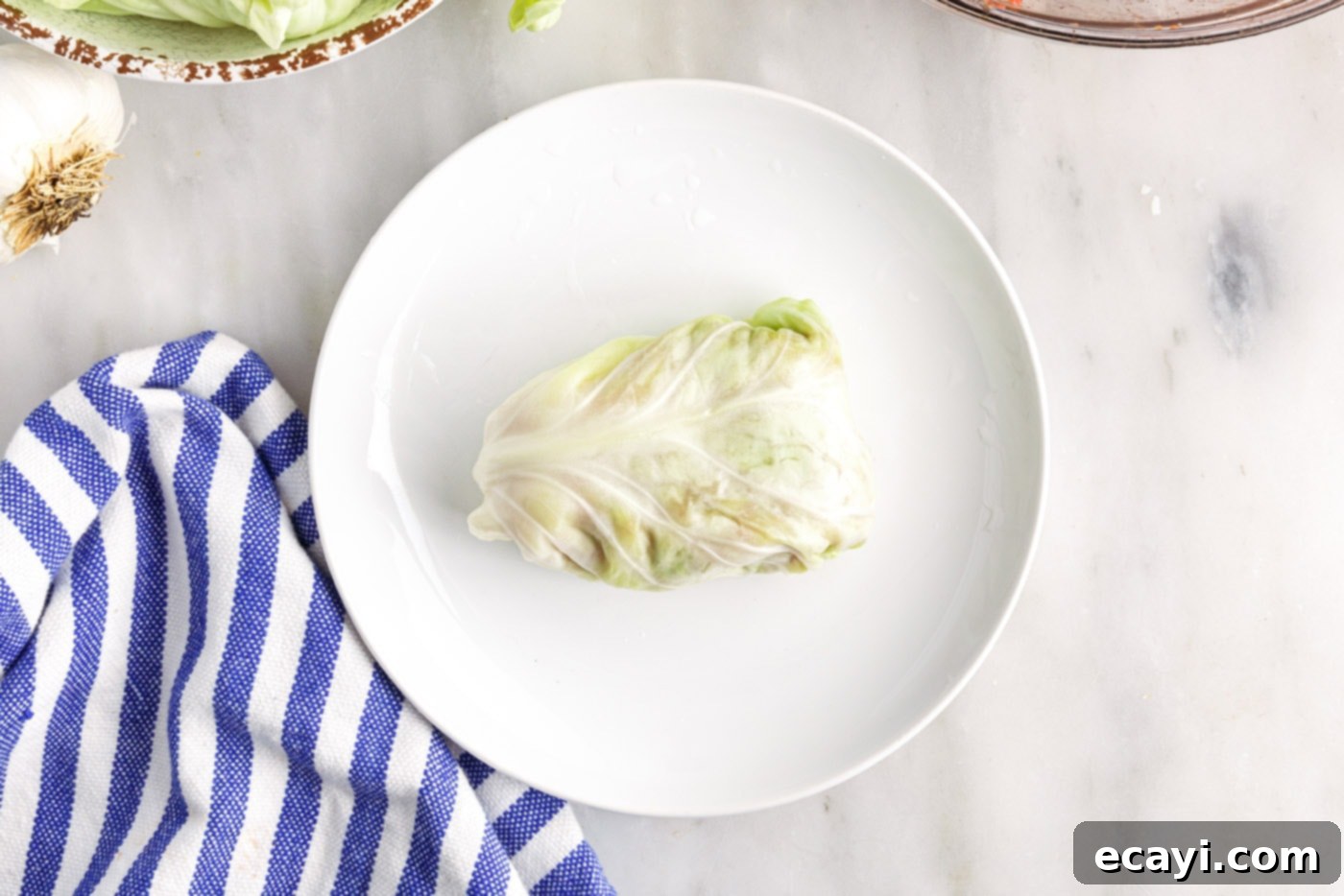 Stuffed Cabbage Delights 10 cabbage roll on a plate