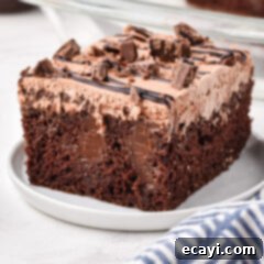 Decadent Chocolate Infusion Cake 13 Chocolate Poke Cake