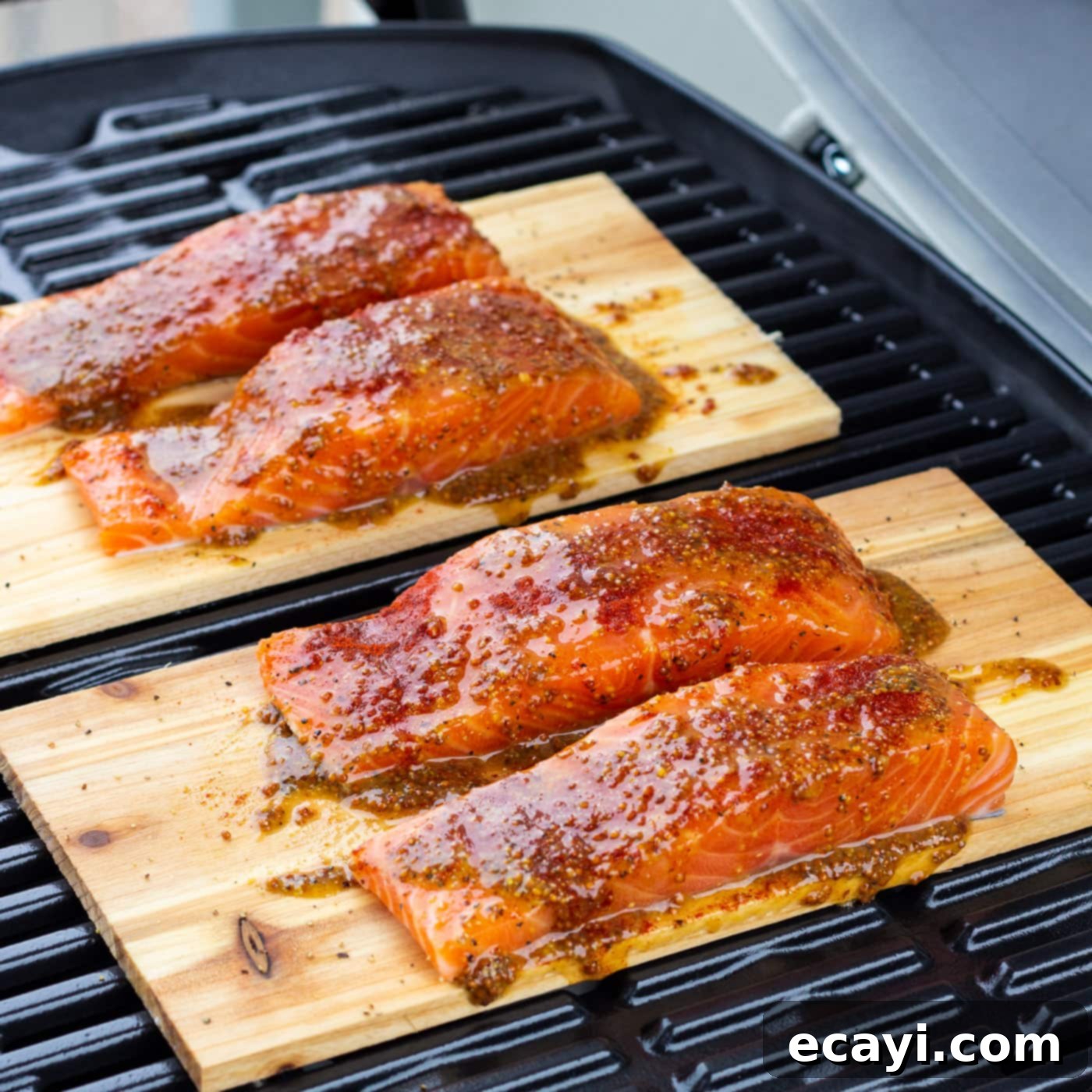Smoky Cedar Plank Salmon 9 Cedar plank salmon cooking on a hot outdoor grill with the lid closed