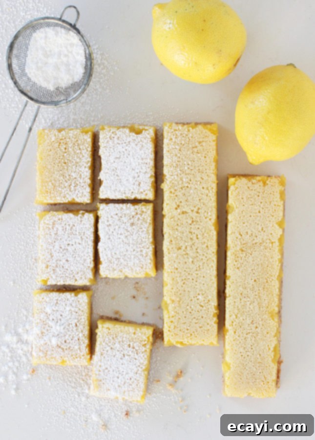 Zesty Dairy-Free Lemon Bars Made Easy 4 Easy, Dairy-Free Lemon Bars // FoodNouveau.com