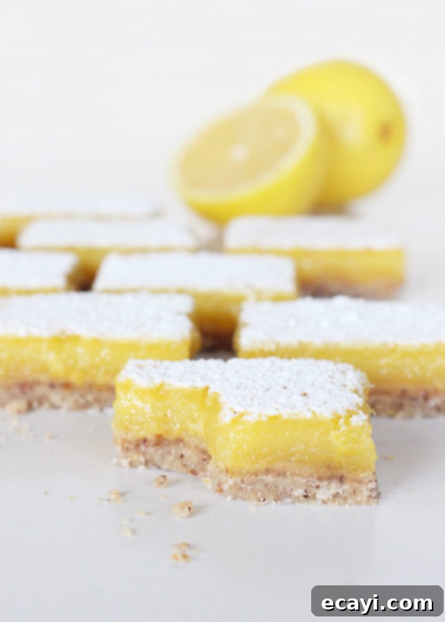 Zesty Dairy-Free Lemon Bars Made Easy 5 Easy, Dairy-Free Lemon Bars // FoodNouveau.com