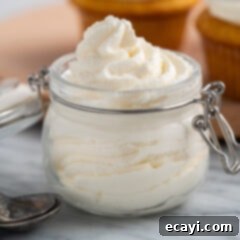 Steadfast Whipped Cream 12 Stabilized Whipped Cream