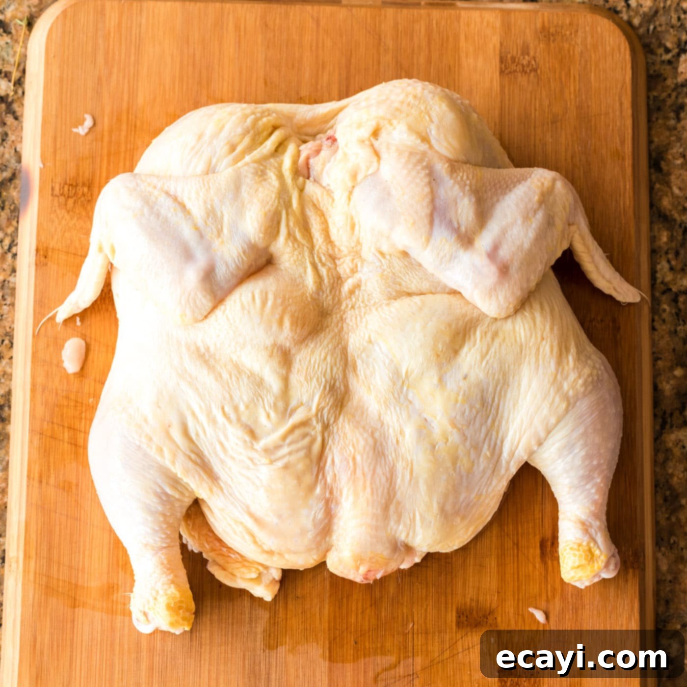 Butterflied Chicken 8 spatchcocking a whole chicken