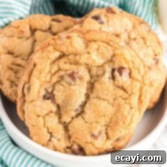 Golden Baked Chocolate Dreams 4 bowl of chocolate chip cookies