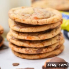 Golden Crunch Butterfinger Cookies 14 Butterfinger Cookies