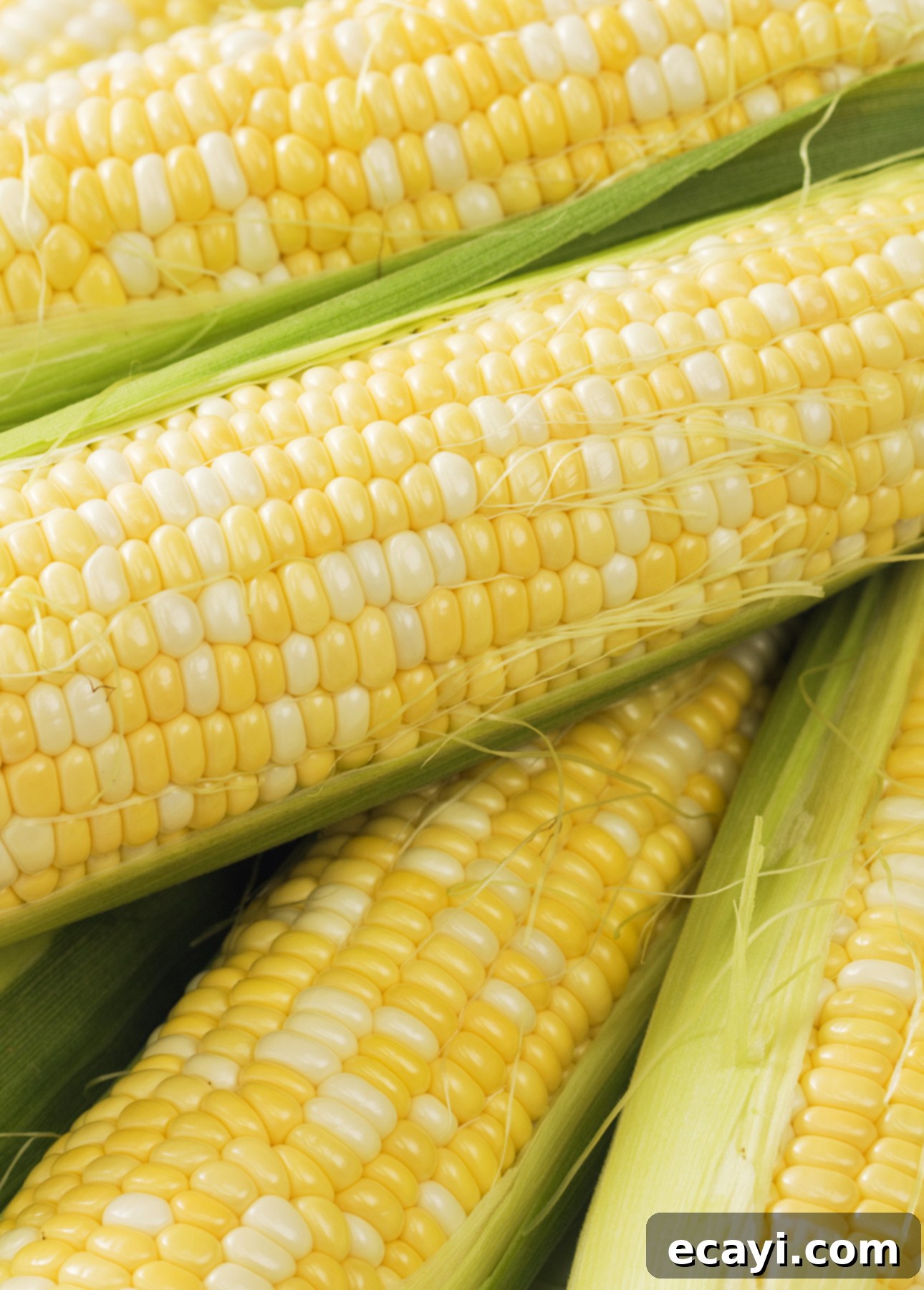 Zesty Tomato Corn Medley 4 Bicolor summer corn // FoodNouveau.com