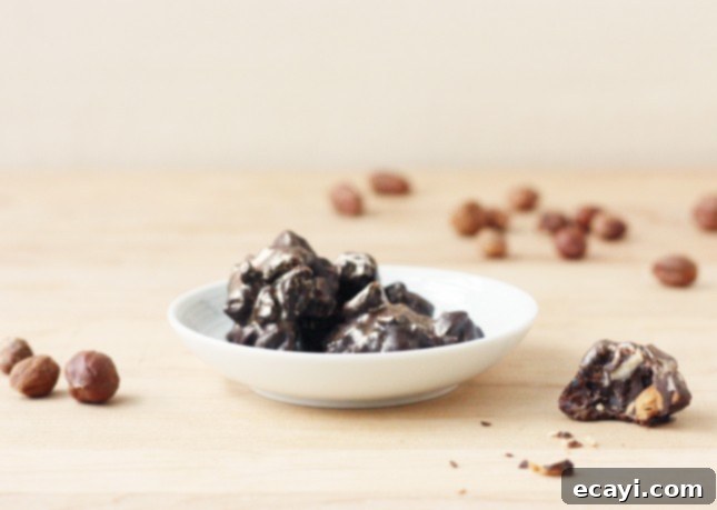 Rich Dark Chocolate Cherry Hazelnut Jewels 2 Dark Chocolate, Roasted Hazelnut, and Dried Cherry Bites // FoodNouveau.com