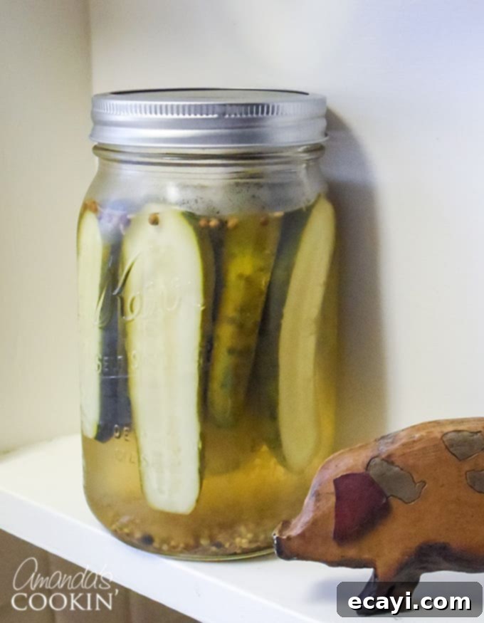 DIY Claussen Pickles 2 Pickles in a jar