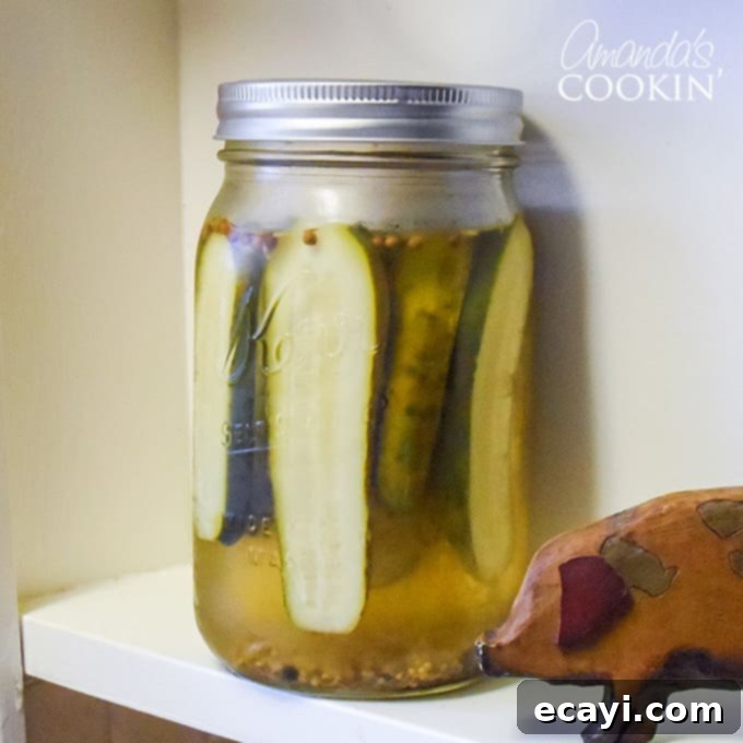 DIY Claussen Pickles 4 Copycat Claussen Pickle recipe