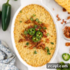 Zesty Jalapeno Delight Dip 12 Jalapeno Popper Dip