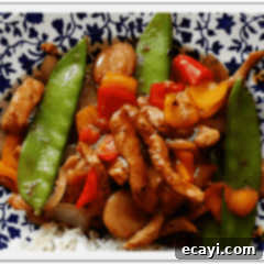 Peppery Pork Stir-Fry with Vibrant Bell Peppers 2 A close up photo of a plate of peppered pork stir fry with sweet peppers.