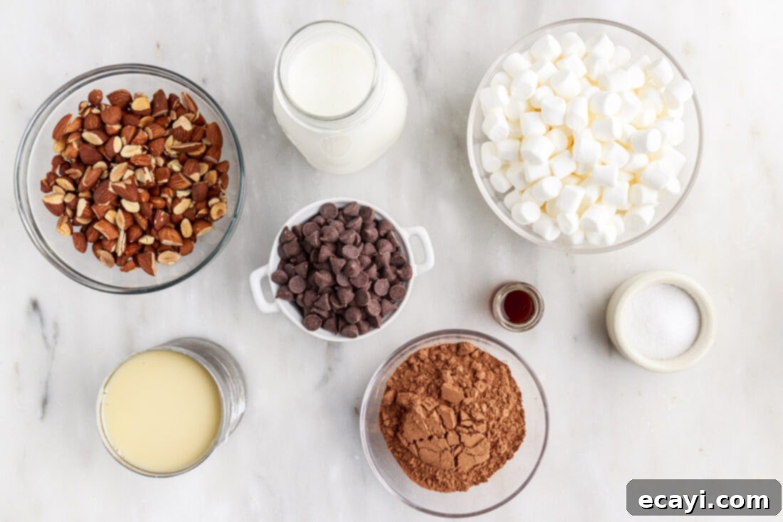 The Ultimate Rocky Road 4 A flat lay of all the ingredients for Rocky Road Ice Cream, including chocolate chips, marshmallows, almonds, and dairy products