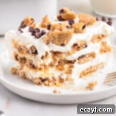 No-Bake Chocolate Chip Cookie Dream Cake 11 A top-down view of a delicious chocolate chip cookie icebox cake slice, ready to be enjoyed.