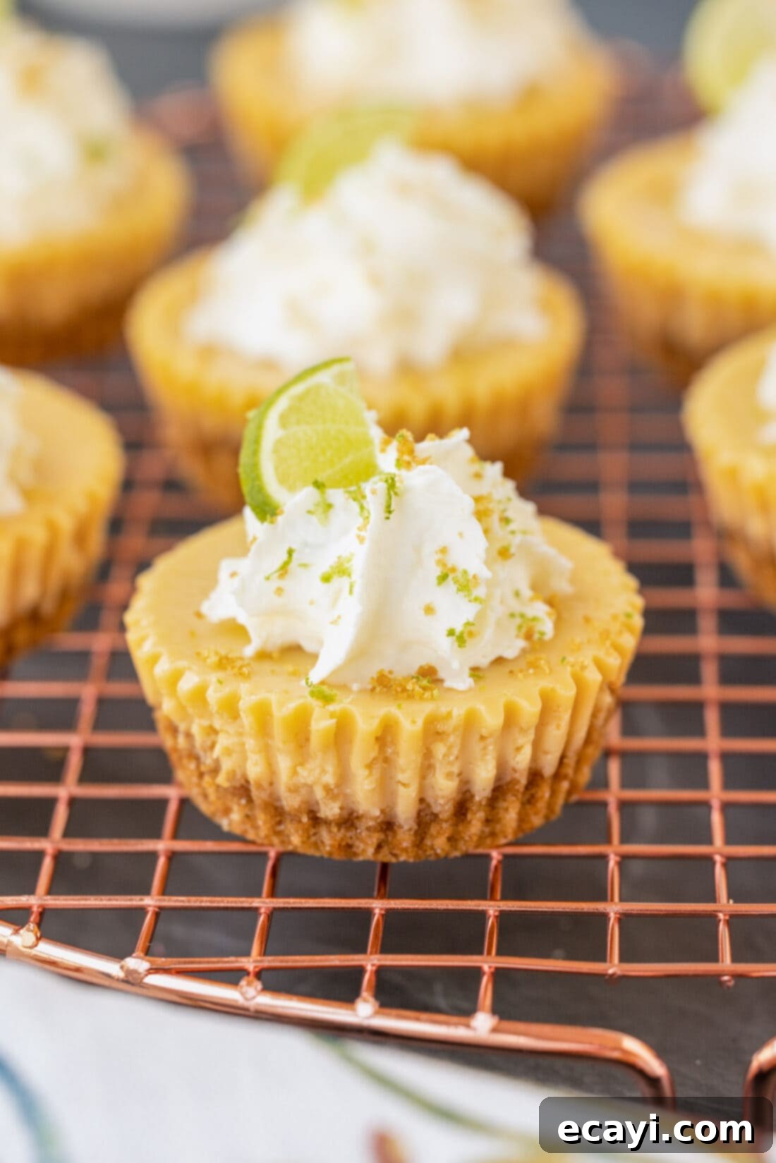 Key Lime Pie Bites 9 A single Mini Key Lime Pie cooling on a wire rack, ready for garnishing.