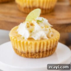 Key Lime Pie Bites 10 Mini Key Lime Pies
