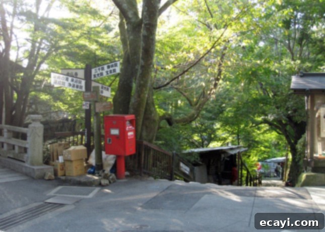 Unlocking the Ryokan Experience: Essential Tips and Etiquette for Japan 3 A charming pedestrian street bordering a tranquil canal in Sanzen-in, Ohara, Japan // FoodNouveau.com