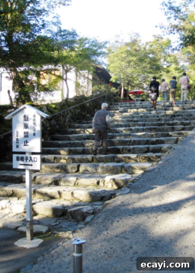 Unlocking the Ryokan Experience: Essential Tips and Etiquette for Japan 4 Stone steps leading to the historic Sanzen-in Temple and the Seryo ryokan in Ohara, an hour north of Kyoto, Japan // FoodNouveau.com