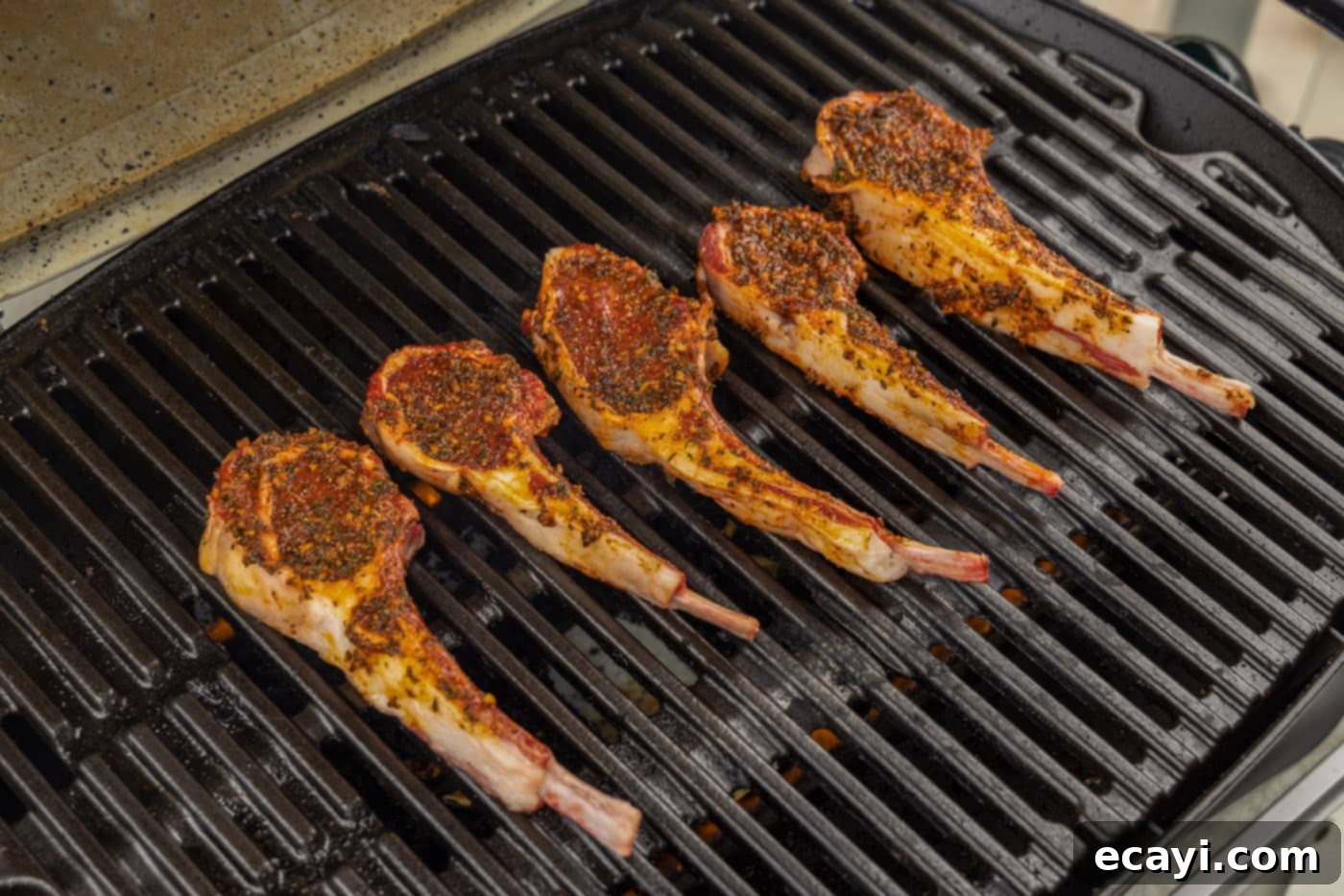 Char-Grilled Lamb Delights 9 Grilled lamb loin chops sizzling on the grates, developing a golden-brown crust.