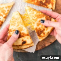 Quesadilla Perfection 13 Quesadillas