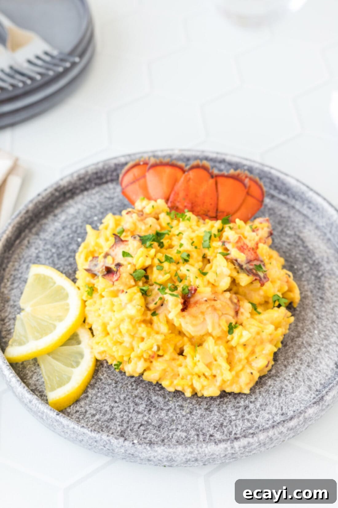 Decadent Lobster Risotto 11 plate of Lobster Risotto