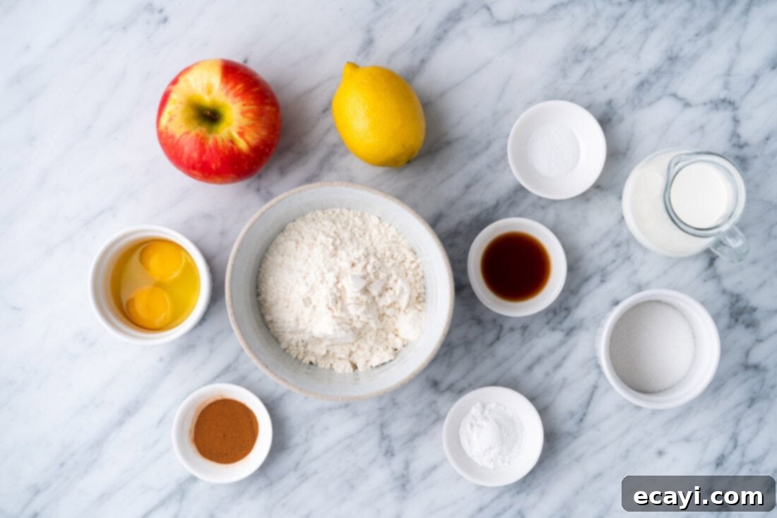 Crispy Air Fryer Apple Fritters 4 ingredients for Air Fryer Apple Fritters